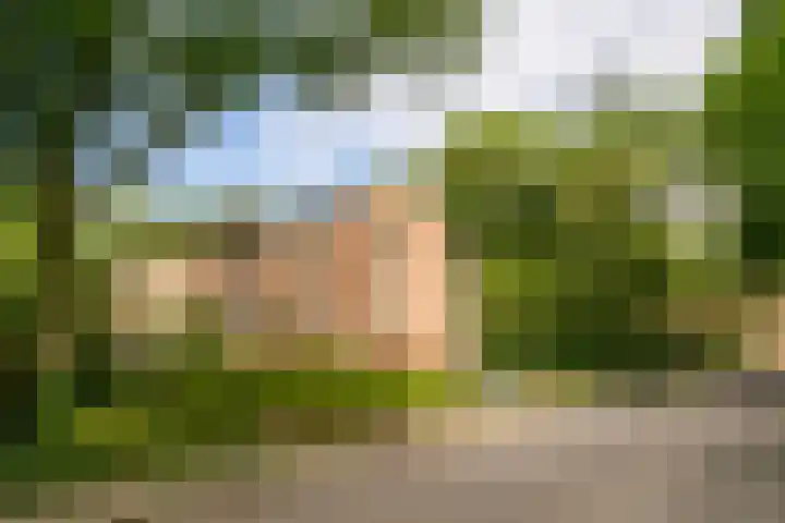 Arubalaan 64 C Amersfoort thumbnail 27