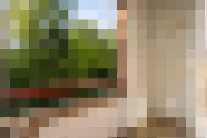 Arubalaan 64 C Amersfoort thumbnail 4