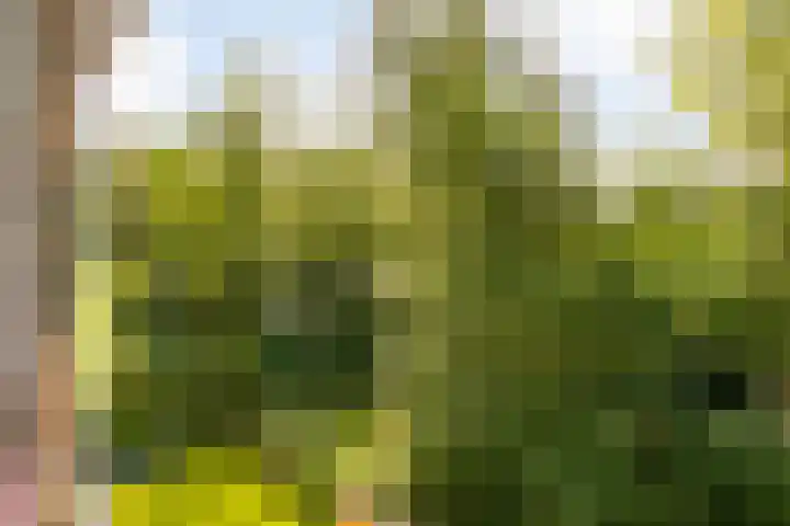 Arubalaan 64 C Amersfoort thumbnail 5