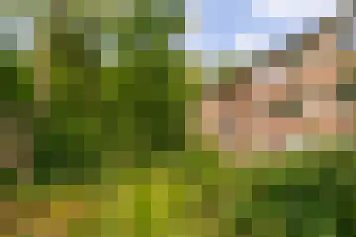 Arubalaan 64 C Amersfoort thumbnail 6
