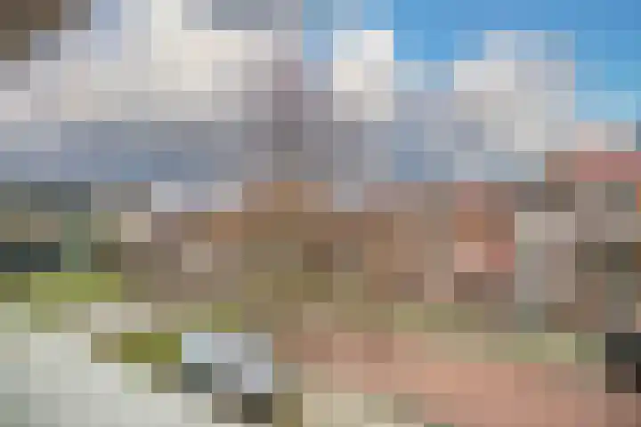 Arubapad 1 Leiden thumbnail 10