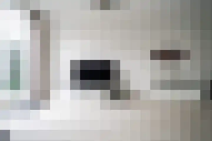 Arubapad 1 Leiden thumbnail 12