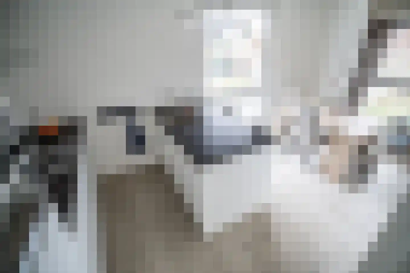 Arubapad 1 Leiden thumbnail 15