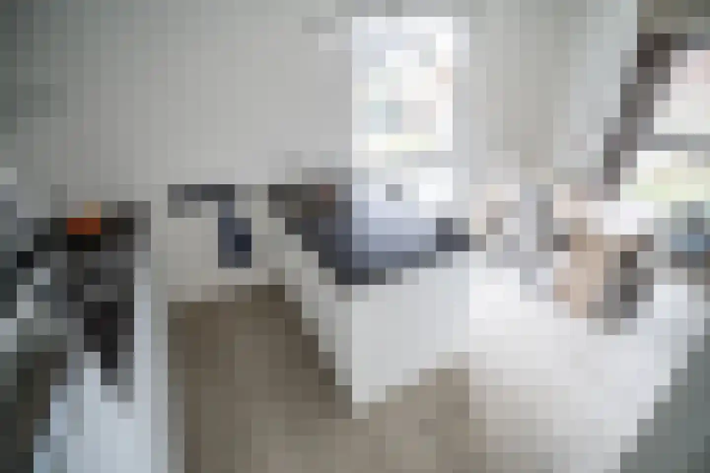 Arubapad 1 Leiden thumbnail 15