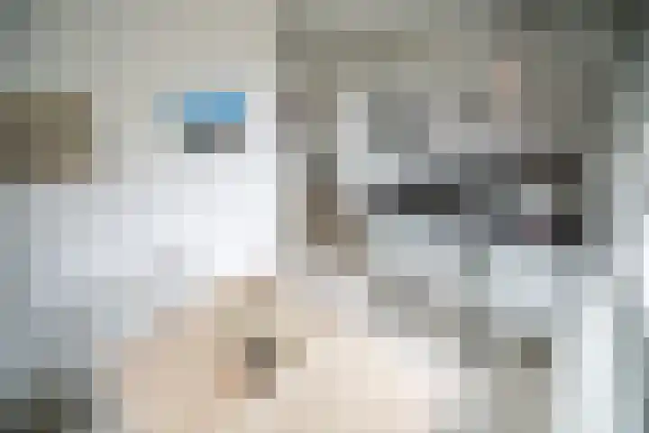 Arubapad 1 Leiden thumbnail 20