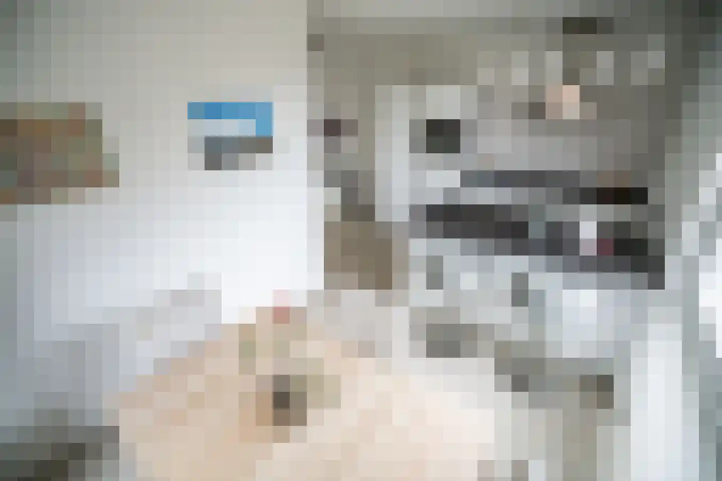 Arubapad 1 Leiden thumbnail 20