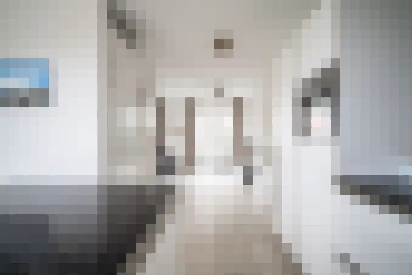 Arubapad 1 Leiden thumbnail 22