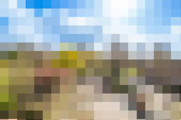 Arubapad 1 Leiden thumbnail 24