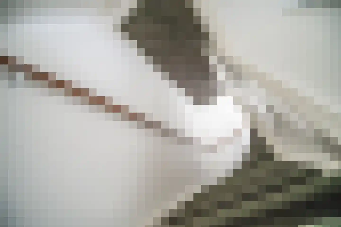 Arubapad 1 Leiden thumbnail 25