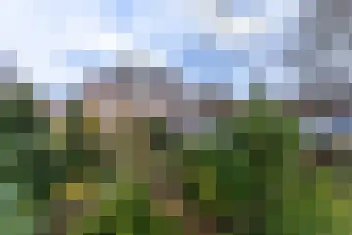 Arubapad 1 Leiden thumbnail 4