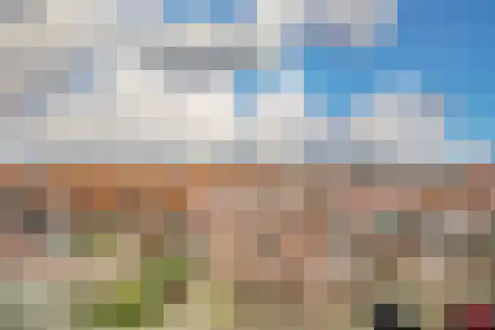 Arubapad 1 Leiden thumbnail 45