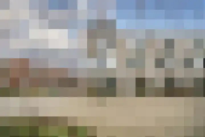 Arubapad 1 Leiden thumbnail 53