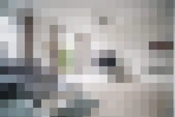 Arubapad 1 Leiden thumbnail 6