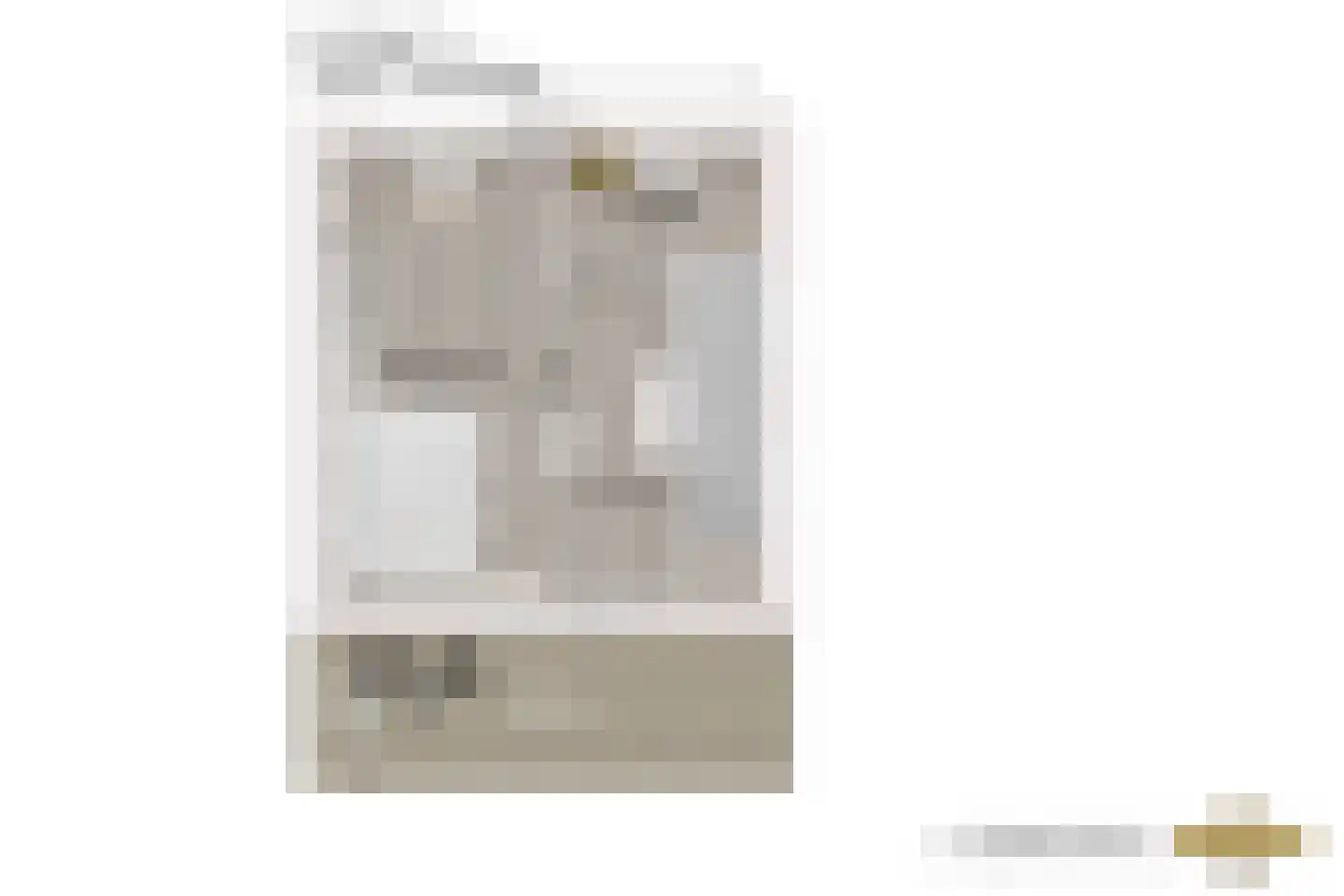 Arubapad 1 Leiden thumbnail 61
