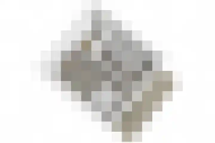 Arubapad 1 Leiden thumbnail 63