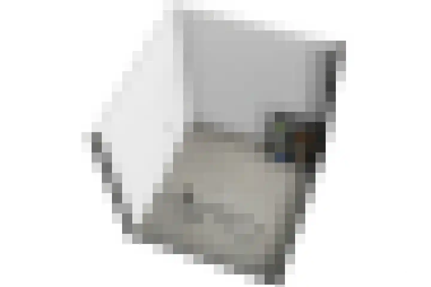 Arubapad 1 Leiden thumbnail 64