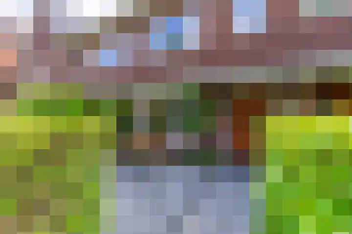 Arubapad 1 Leiden thumbnail 66