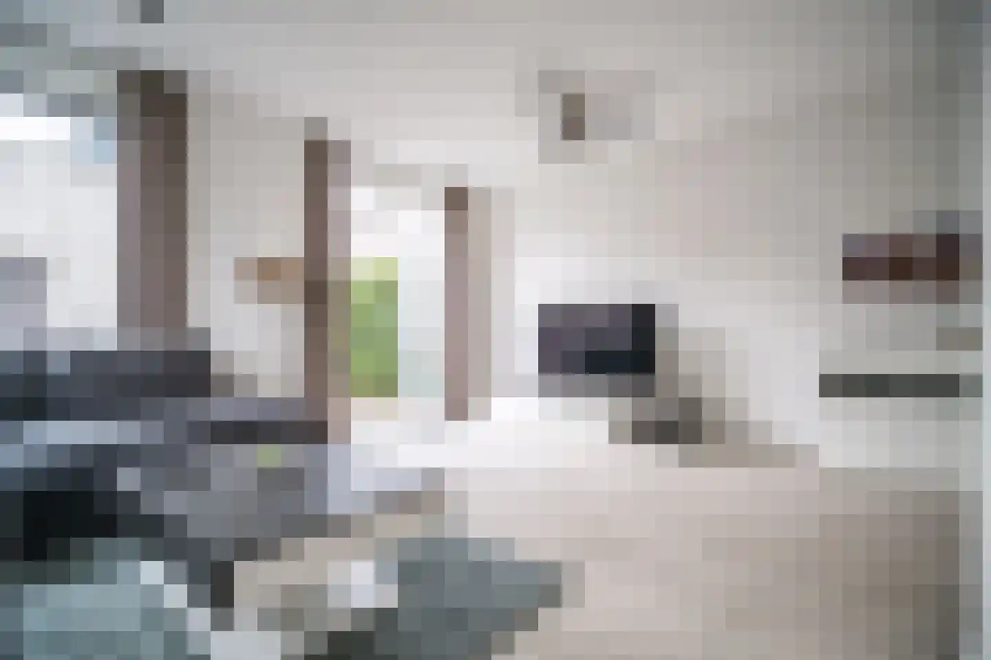 Arubapad 1 Leiden thumbnail 7