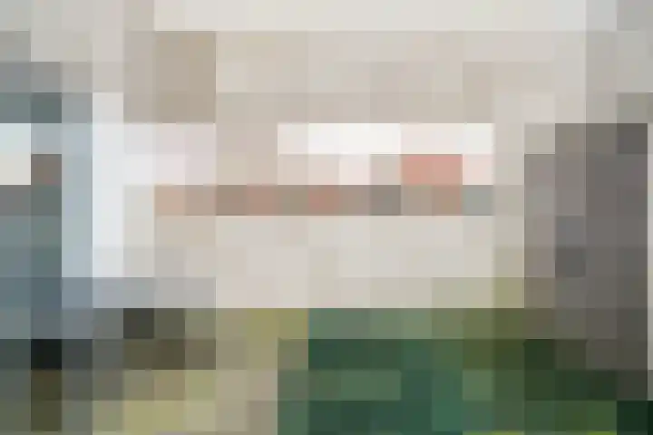 Arubapad 1 Leiden thumbnail 8