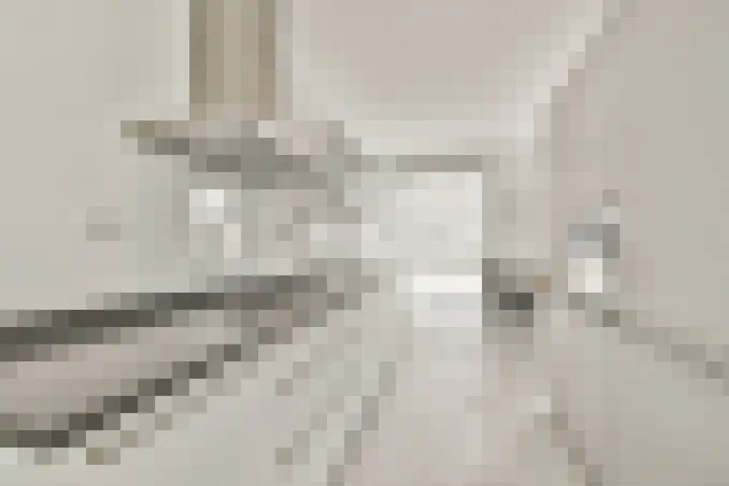 Arubapad 17 Leiden thumbnail 10