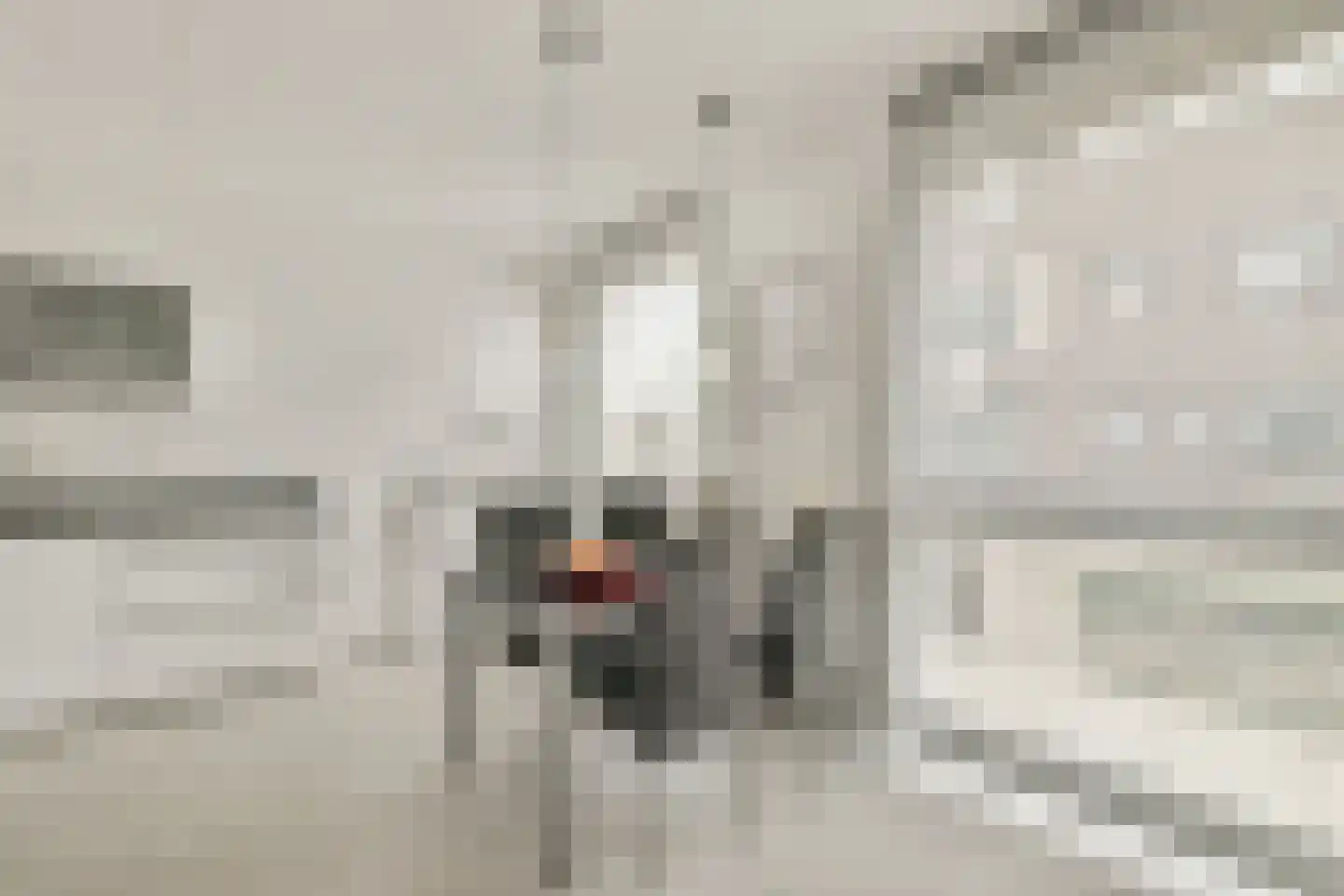 Arubapad 17 Leiden thumbnail 13