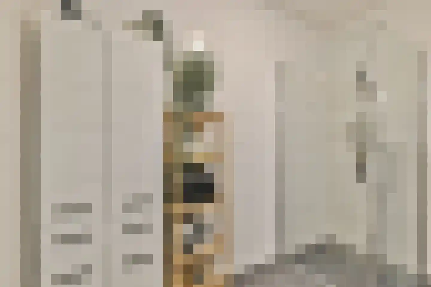 Arubapad 17 Leiden thumbnail 22