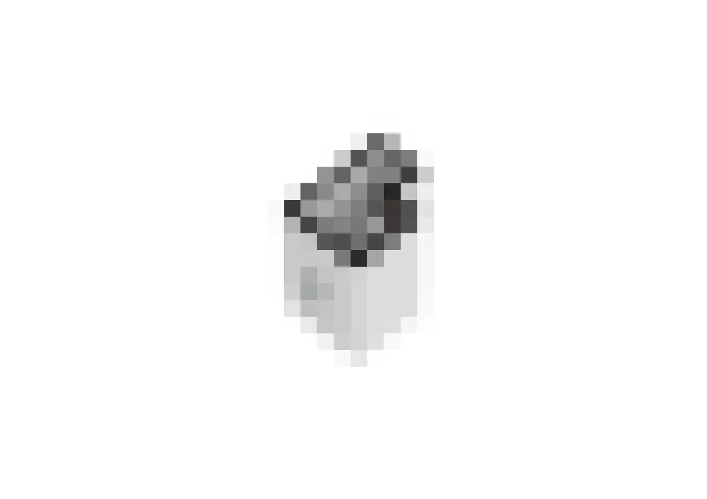 Arubapad 17 Leiden thumbnail 32