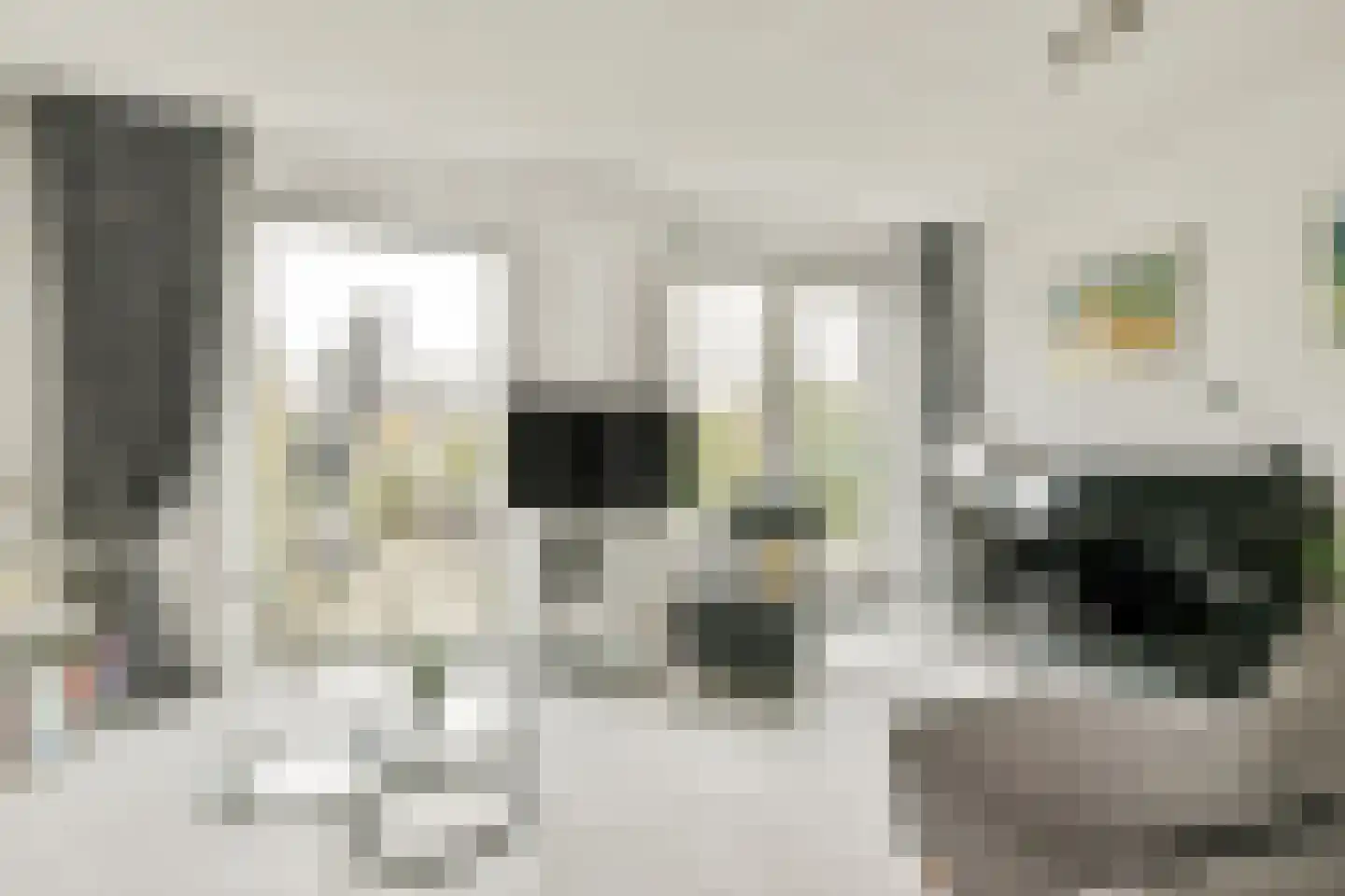 Arubapad 17 Leiden thumbnail 4