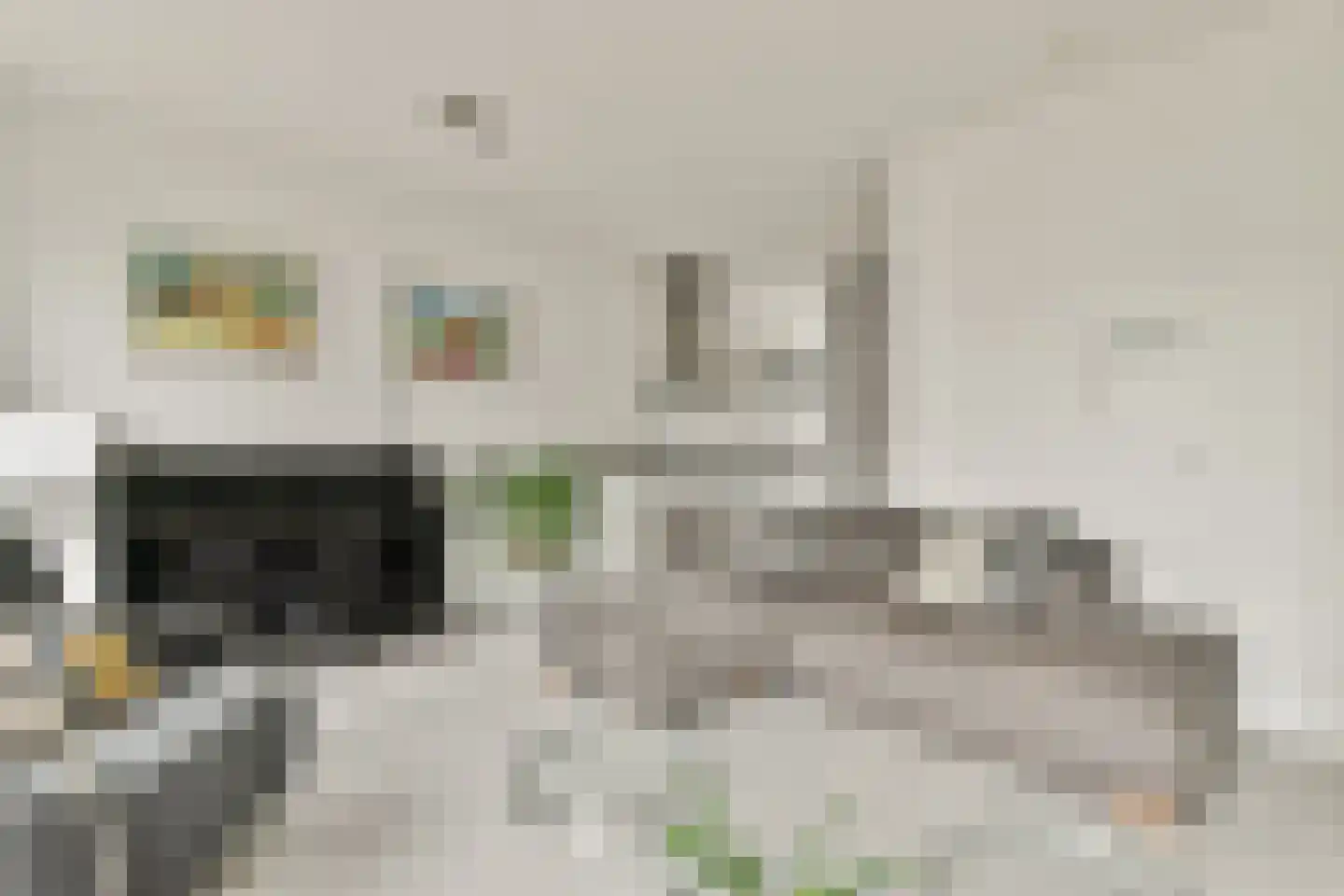 Arubapad 17 Leiden thumbnail 6