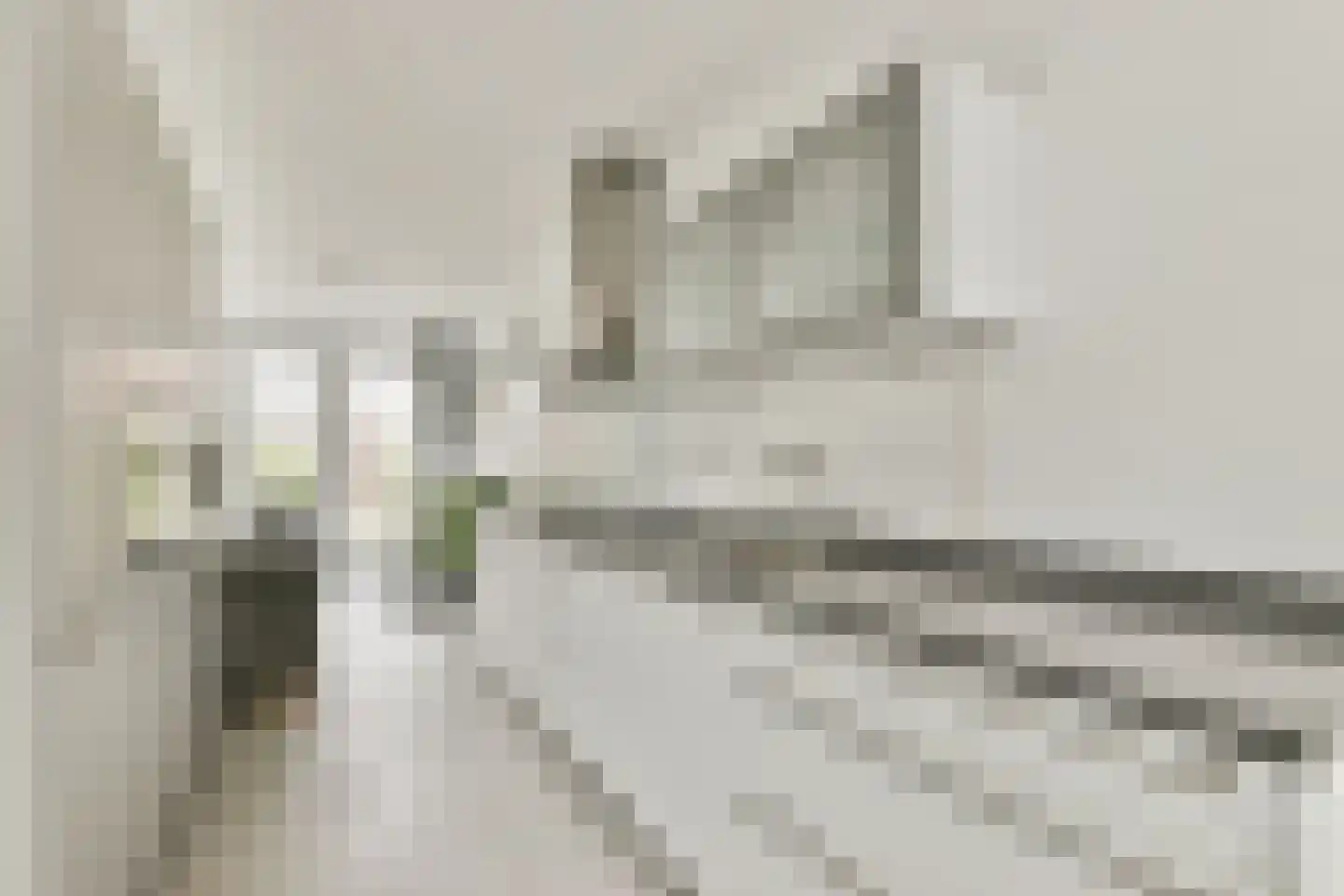 Arubapad 17 Leiden thumbnail 9