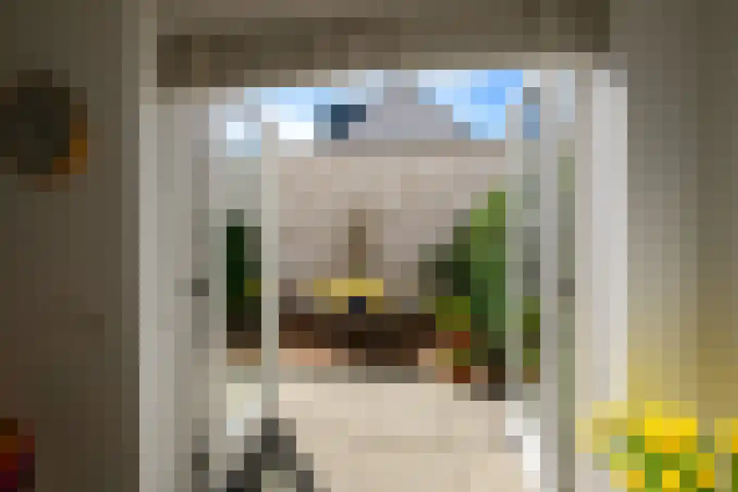 Arubapad 5 Leiden thumbnail 10