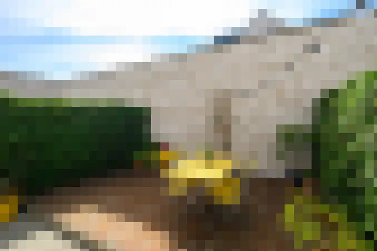 Arubapad 5 Leiden thumbnail 11