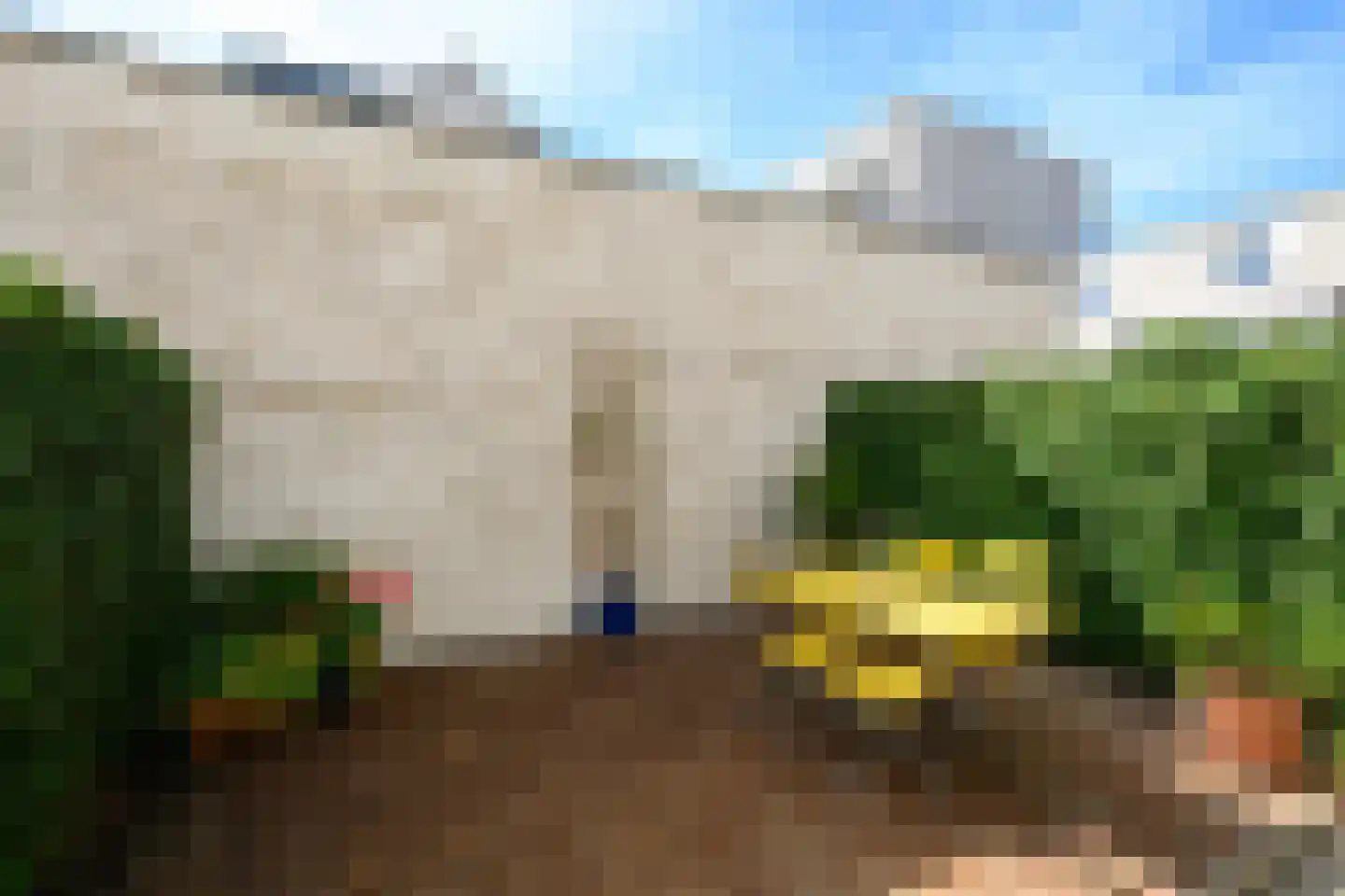 Arubapad 5 Leiden thumbnail 12