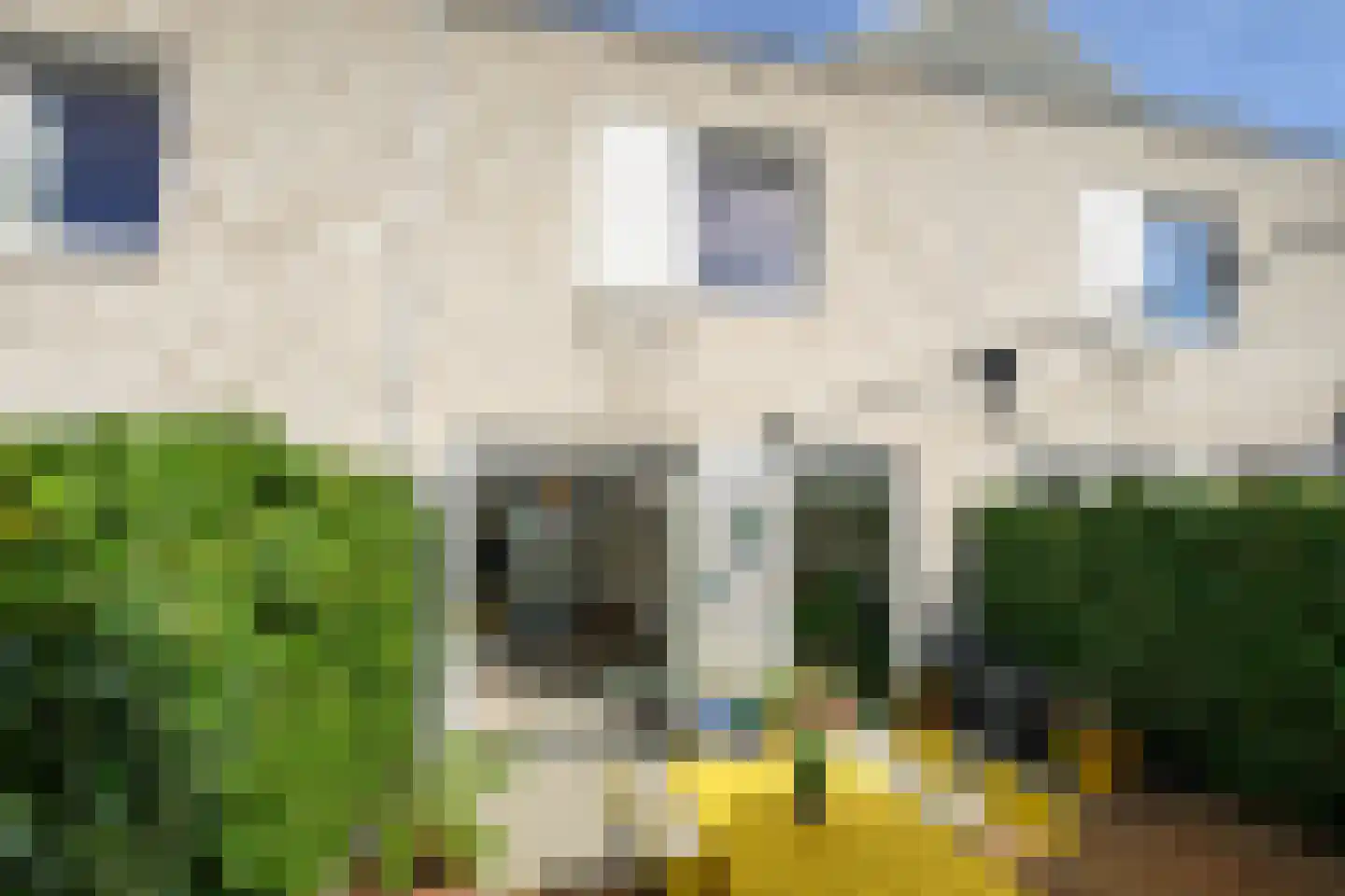 Arubapad 5 Leiden thumbnail 14