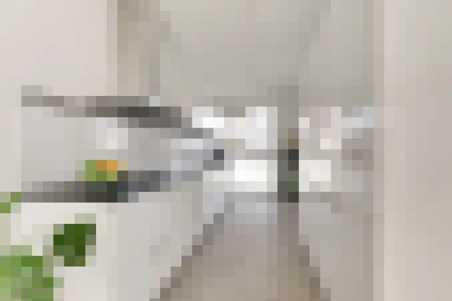Arubapad 5 Leiden thumbnail 15