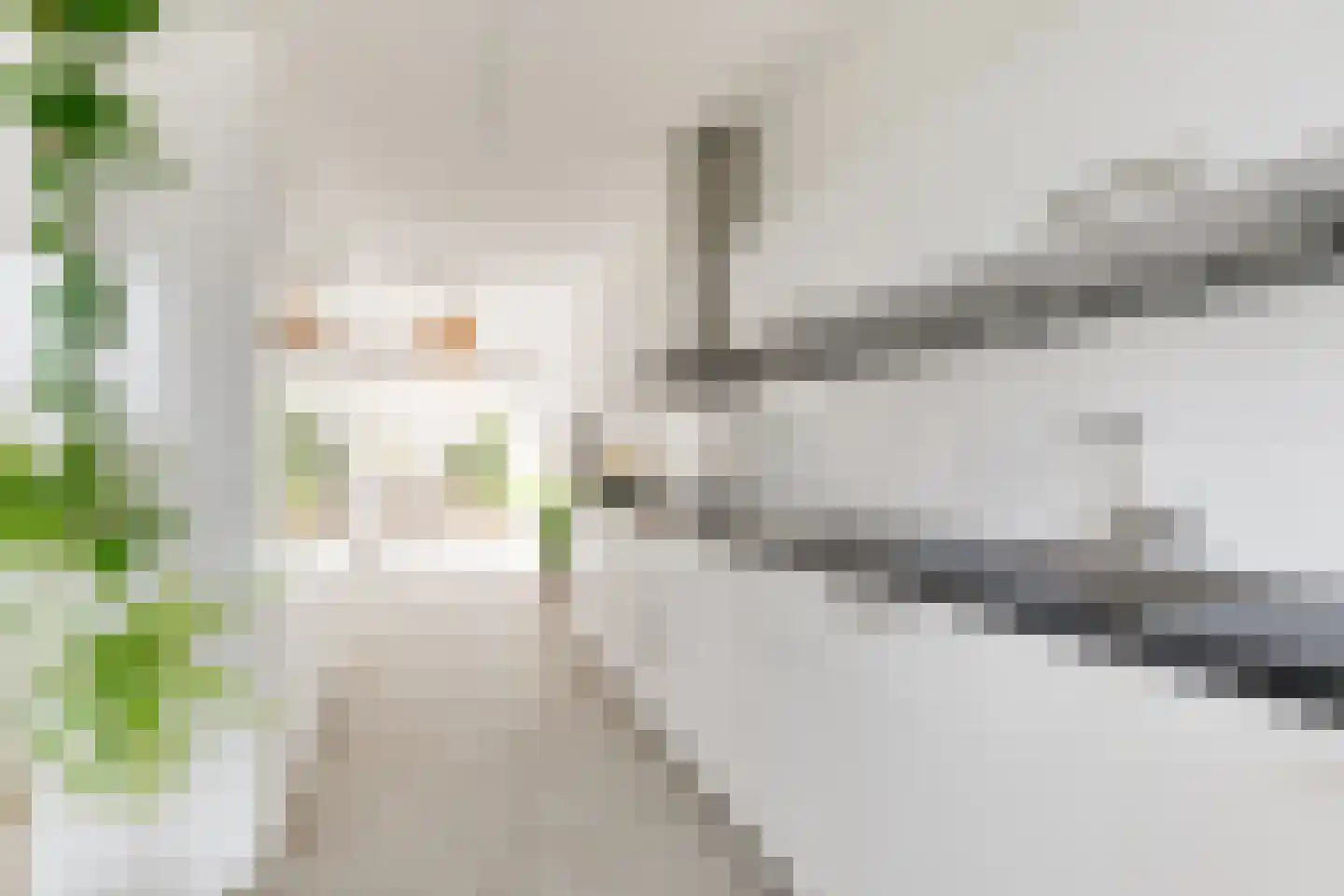 Arubapad 5 Leiden thumbnail 17