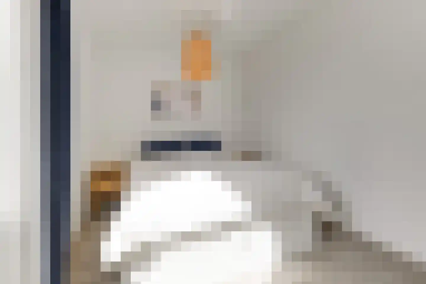 Arubapad 5 Leiden thumbnail 22