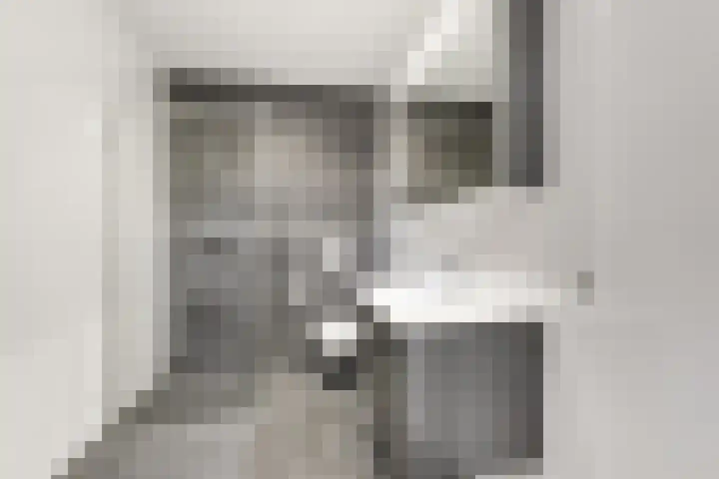 Arubapad 5 Leiden thumbnail 24