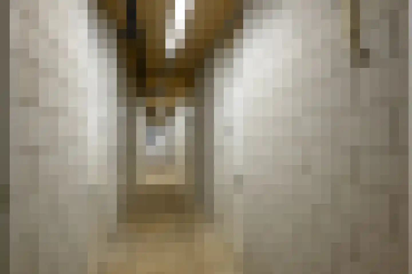 Arubapad 5 Leiden thumbnail 33