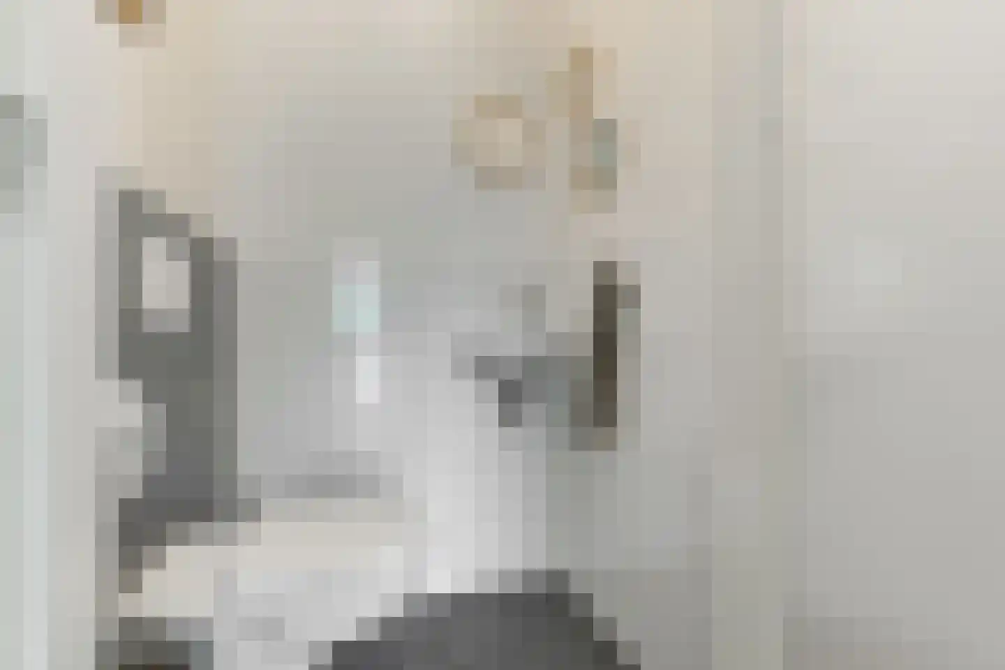 Arubapad 5 Leiden thumbnail 5