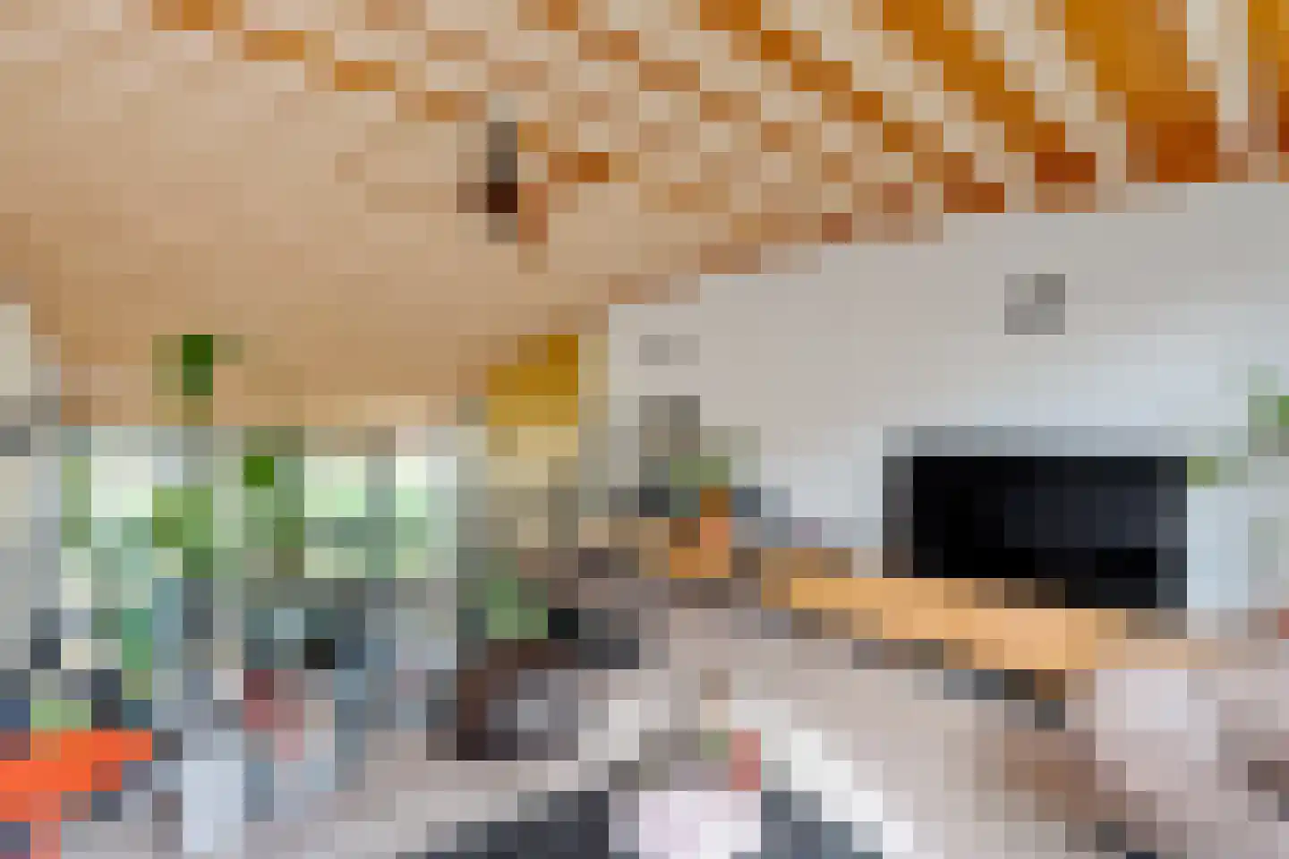 Arubapier 28 Almere thumbnail 23