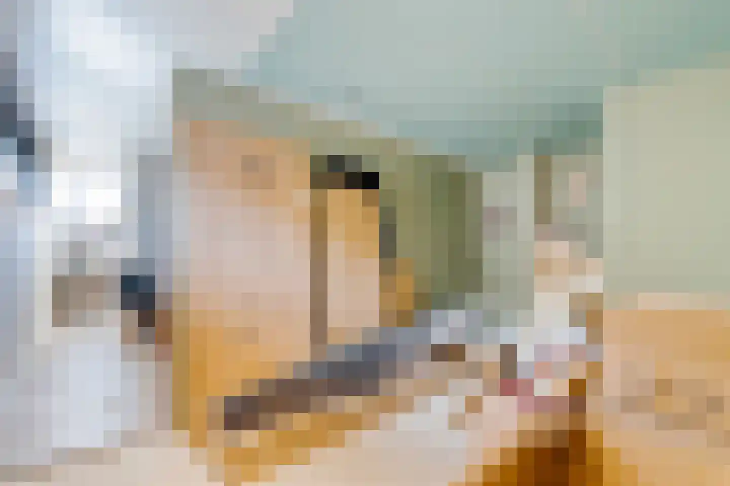 Arubapier 28 Almere thumbnail 38