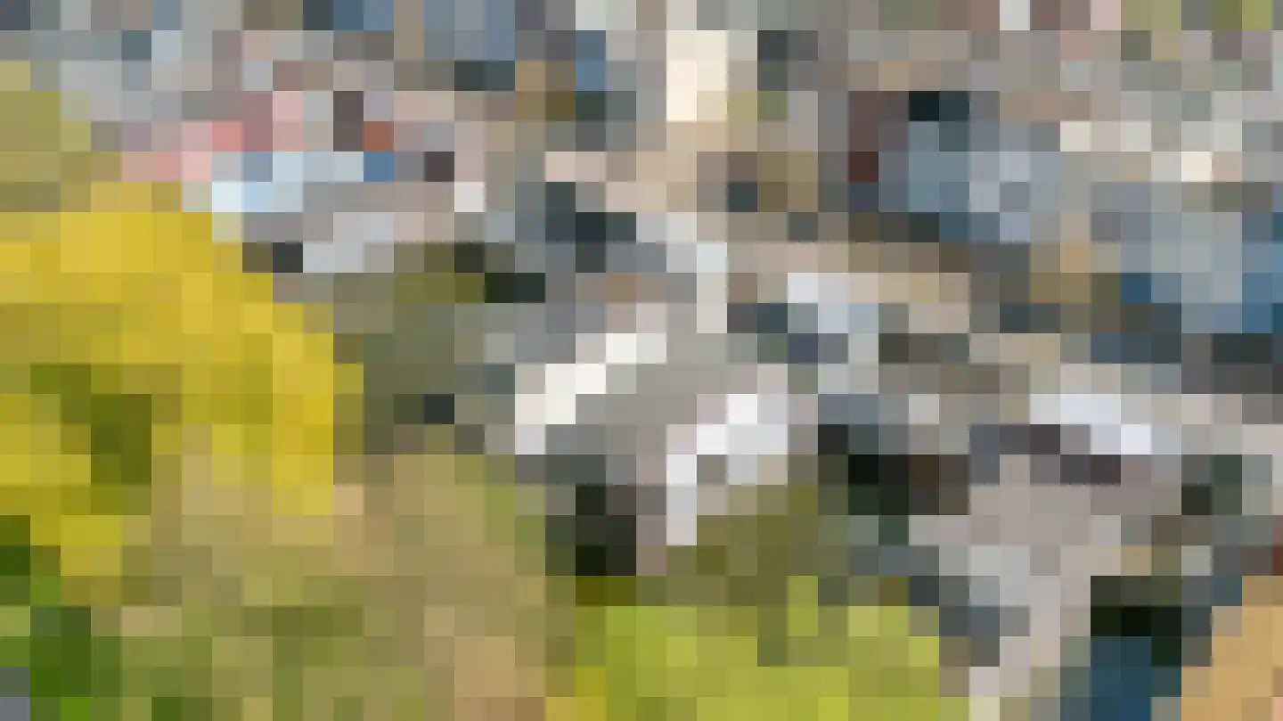 Arubapier 28 Almere thumbnail 4