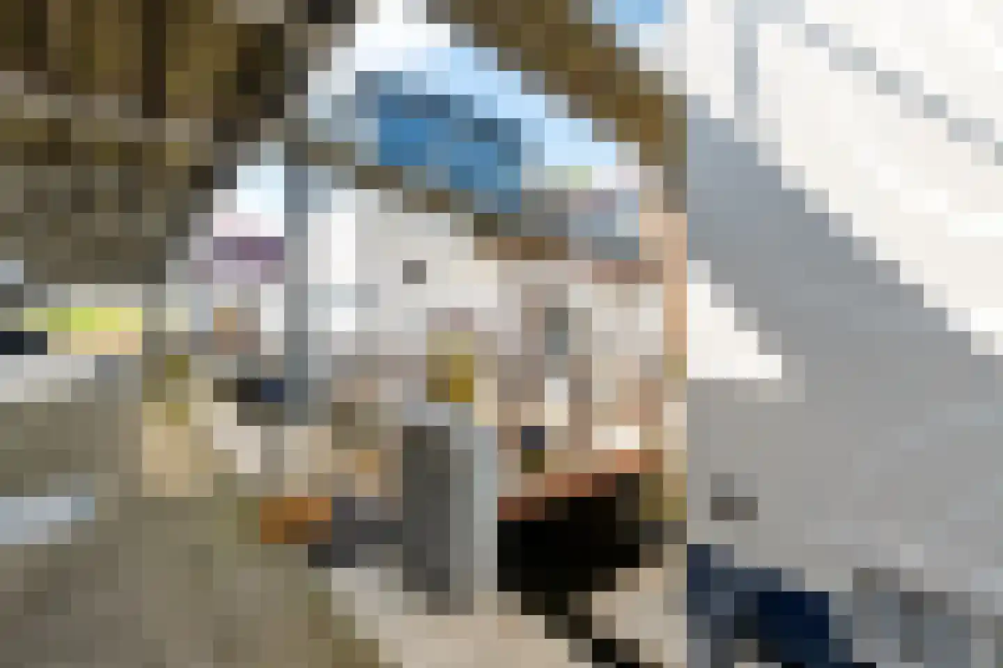 Arubapier 28 Almere thumbnail 46