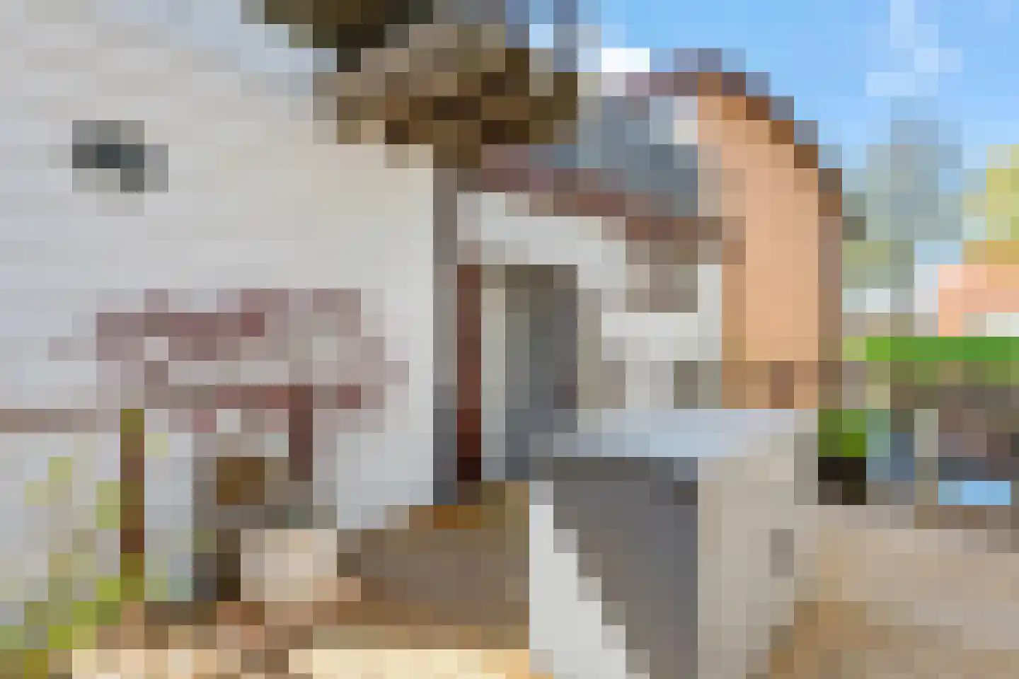 Arubapier 28 Almere thumbnail 48