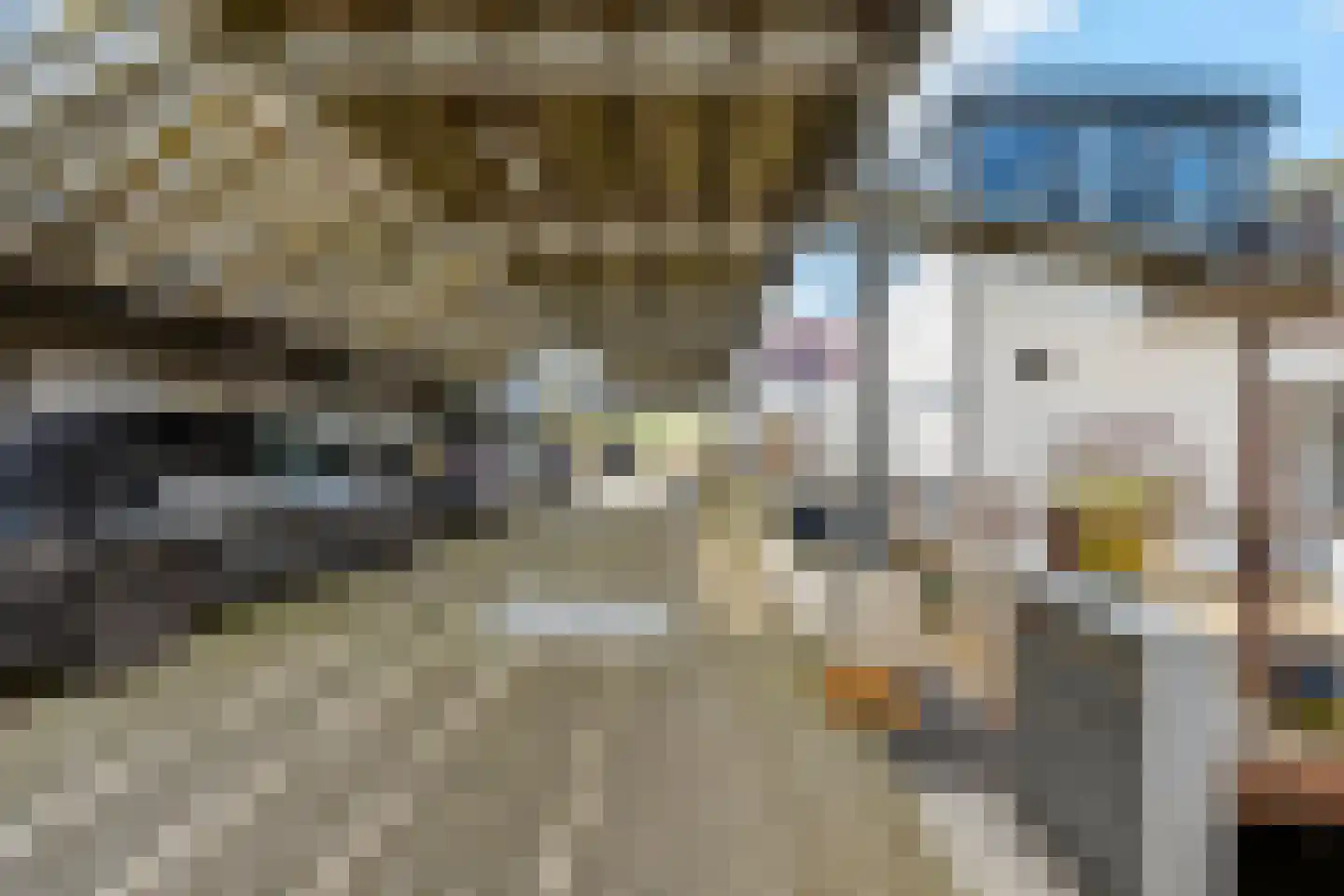 Arubapier 28 Almere thumbnail 49