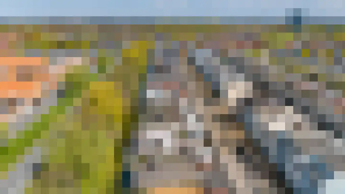 Arubapier 28 Almere thumbnail 51