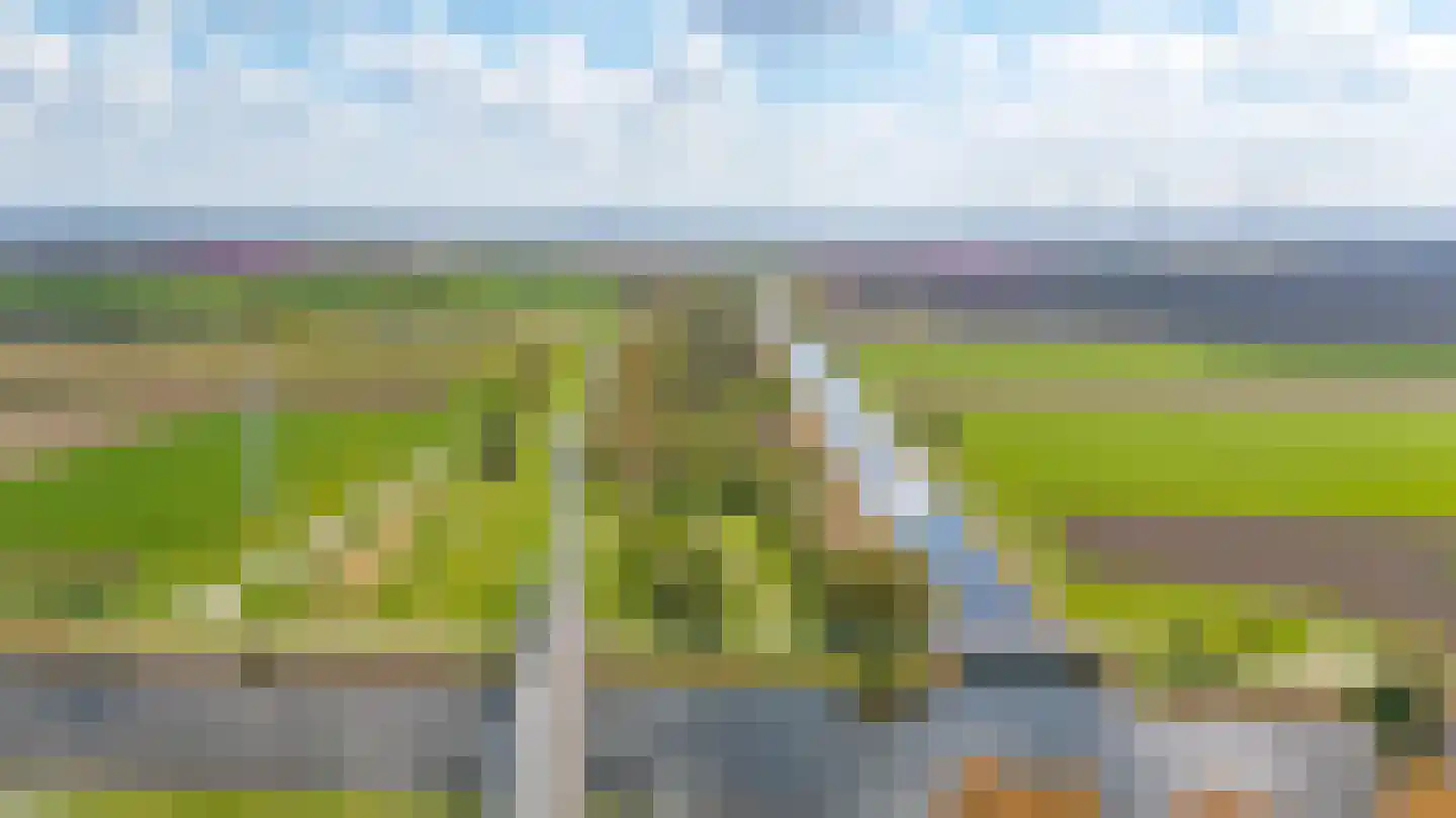 Arubapier 28 Almere thumbnail 55