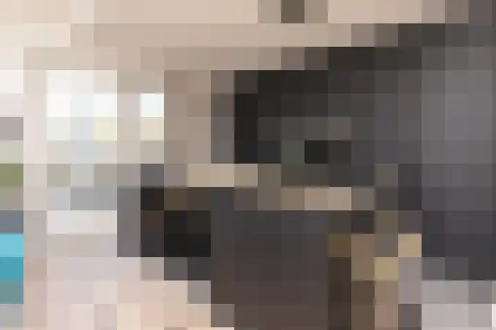 Arubapier 31 Almere thumbnail 22