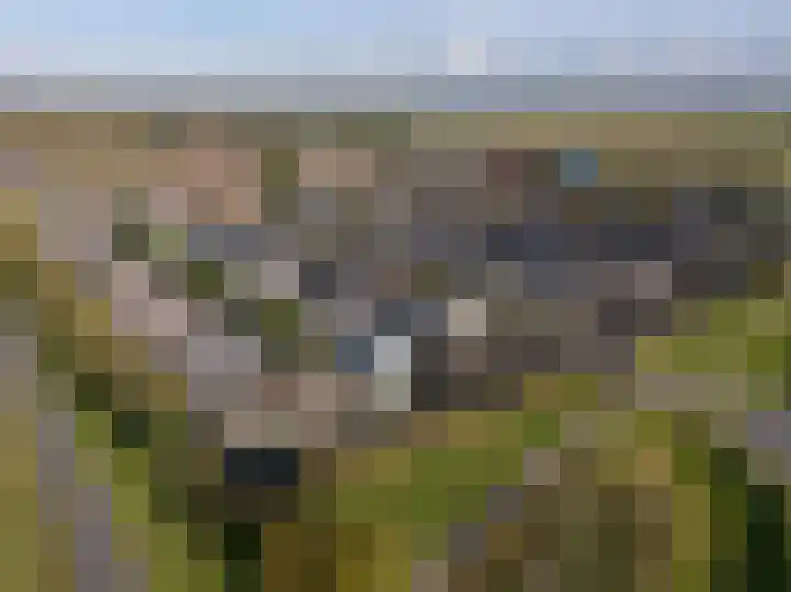 Arubapier 31 Almere thumbnail 41